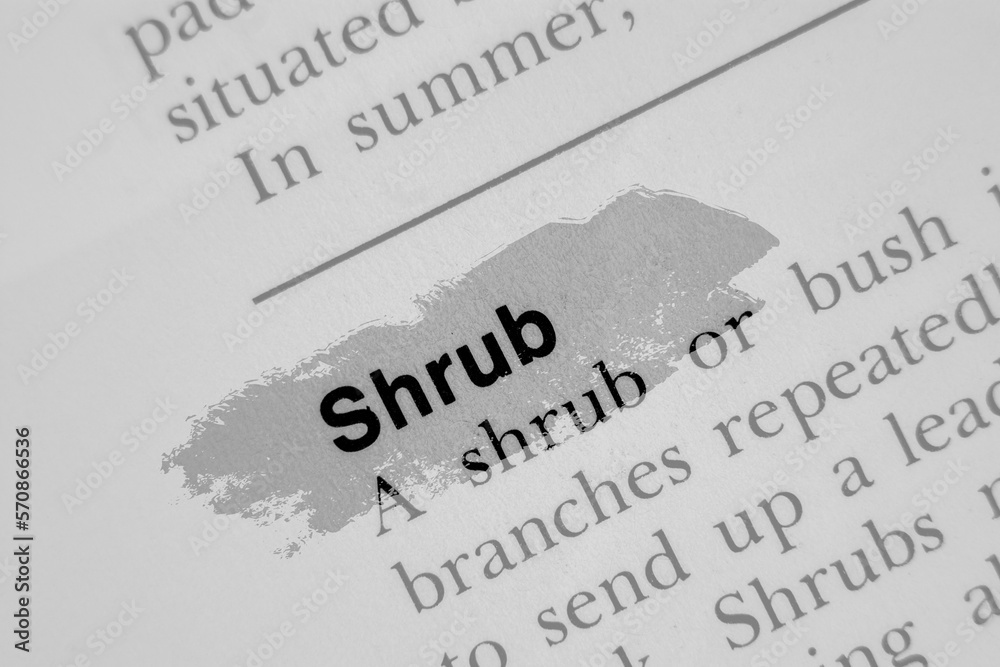 SHRUB in English vocabulary language word with reference and