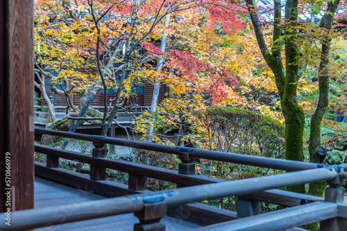 京都 永観堂の紅葉 