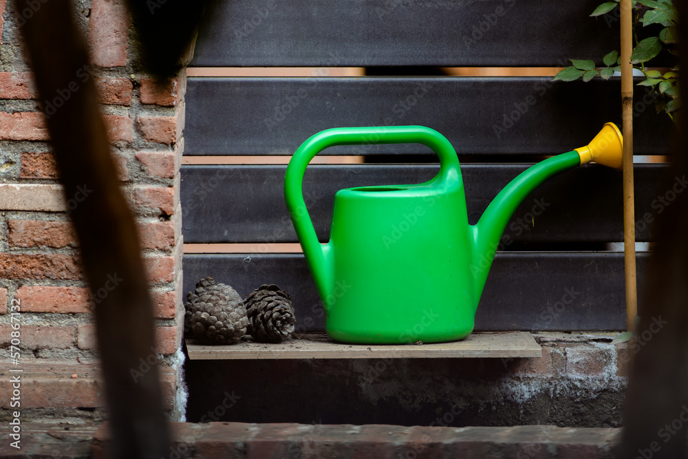 Green can for watering flowers next to a pine cones near bricks wall in the garden Green can for watering flowers next to a pine cones near bricks wall in the garden