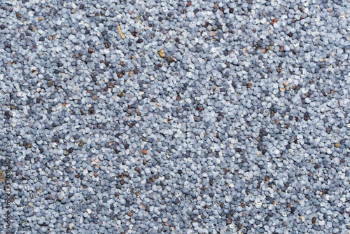 Blue poppy seed texture. Poppy seeds background. Closeup macro food pattern. Garin texture. Culinary raw poppy pattern. photo