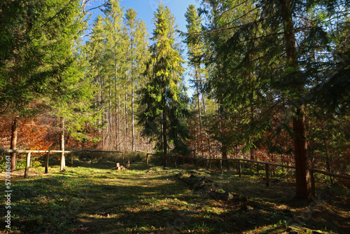 Old cemetery and ruins of the orthodox church in Huczwice former and abandoned village in Bieszczady, Poland
 photo