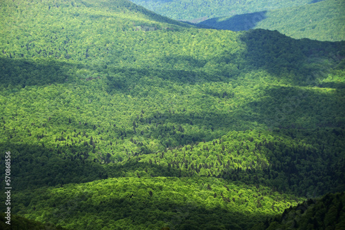 Fototapeta Naklejka Na Ścianę i Meble -  Spring landscape of forest in the Bieszczady mountains, Poland