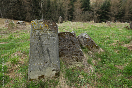 Fototapeta Naklejka Na Ścianę i Meble -  Old jewish cemetery in Lutowiska village, Bieszczady Mountains, Poland
