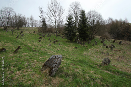 Fototapeta Naklejka Na Ścianę i Meble -  Old jewish cemetery in Lutowiska village, Bieszczady Mountains, Poland
