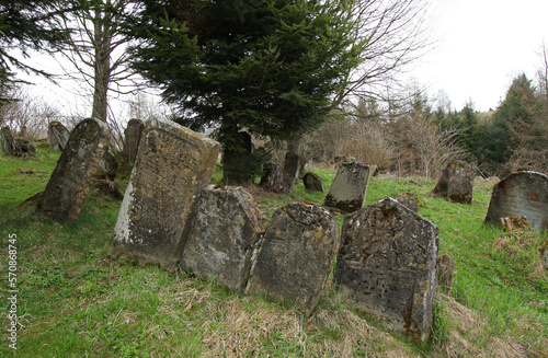 Fototapeta Naklejka Na Ścianę i Meble -  Old jewish cemetery in Lutowiska village, Bieszczady Mountains, Poland
