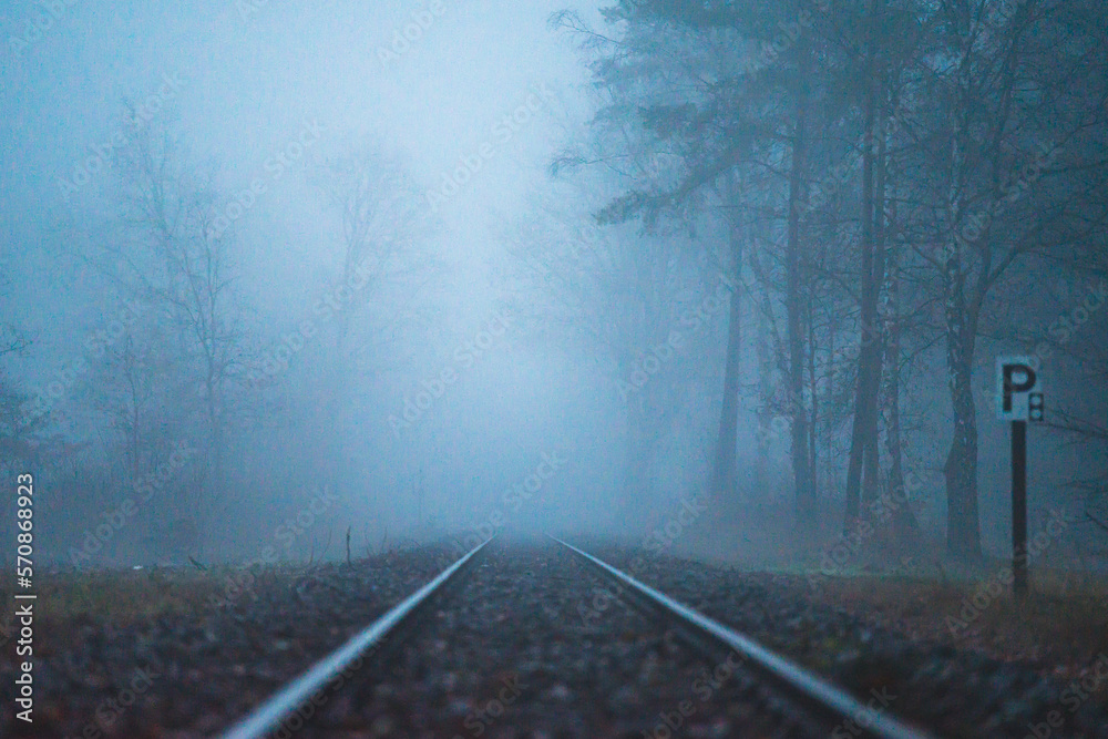 Obraz premium Celle, 16.02.2023