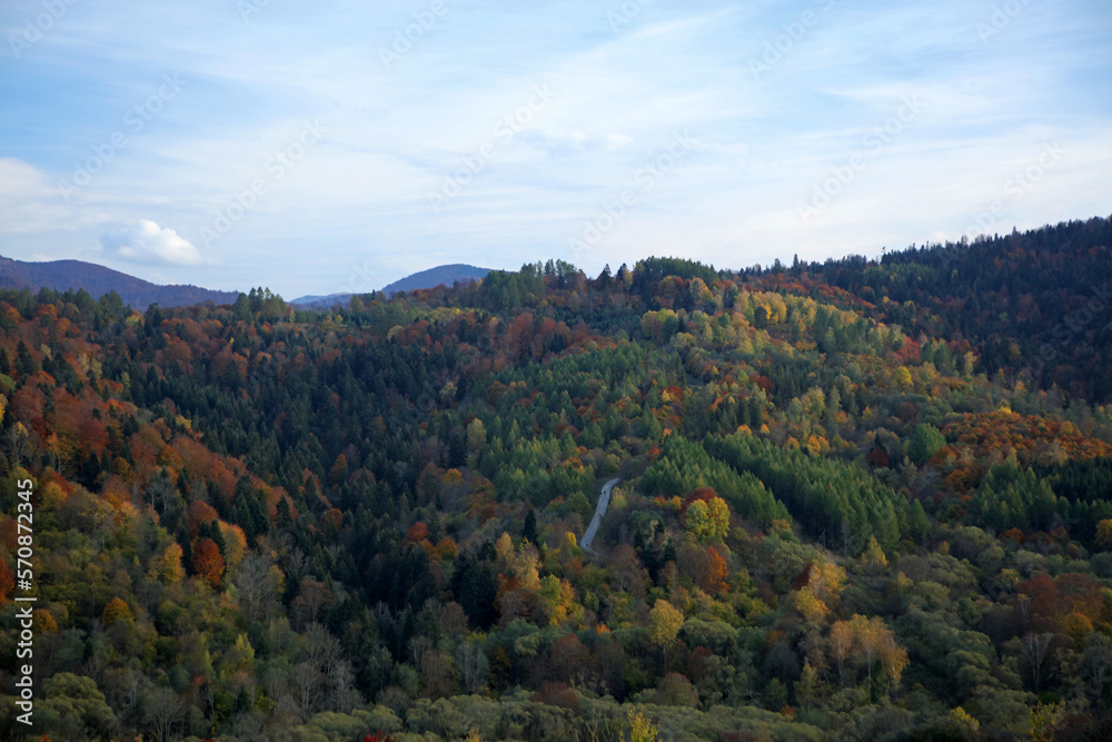 Landscape of Krywe - former and abandoned village in Bieszczady Mountains, Poland
