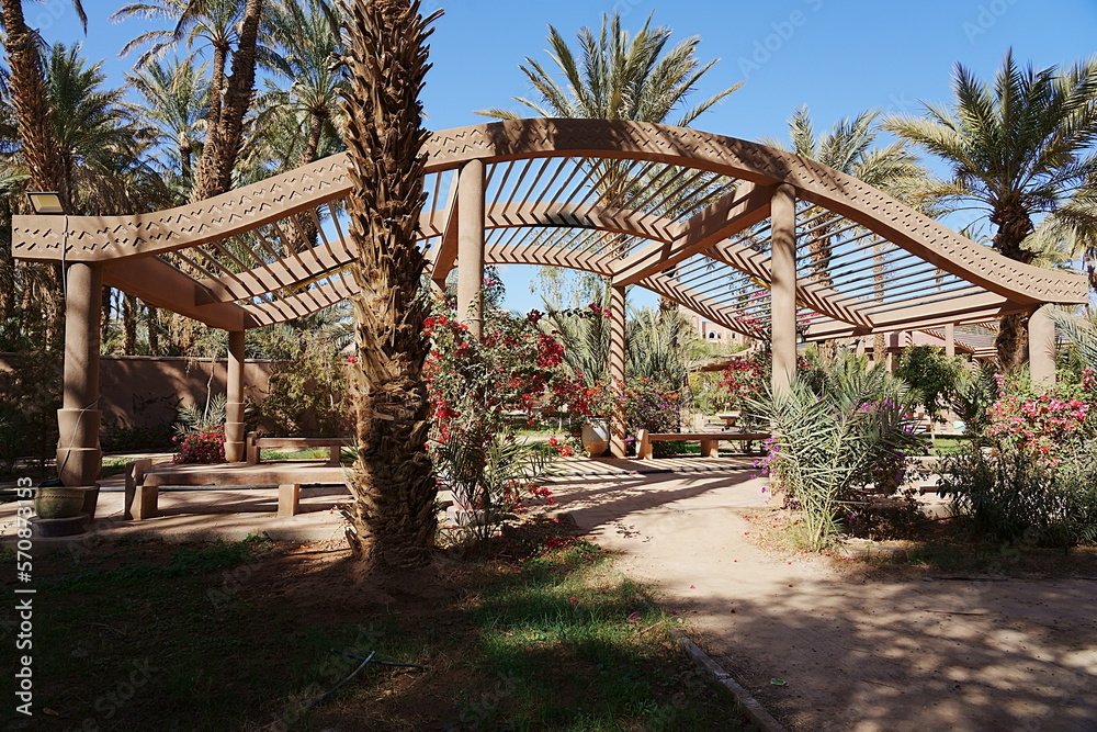 Park in african Zagora town in Morocco