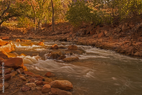 Virgin River along the Pa'rus trail in Zion National Park 2689