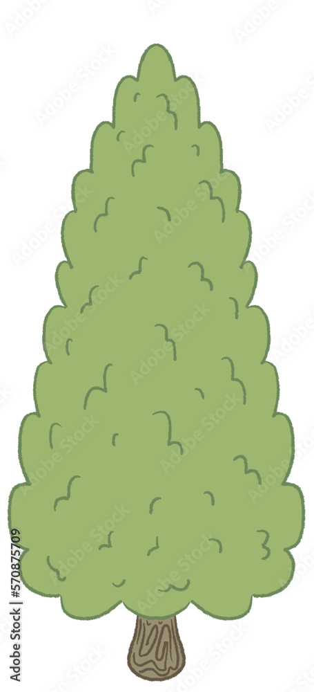 tree isolated on white tree isolated on white