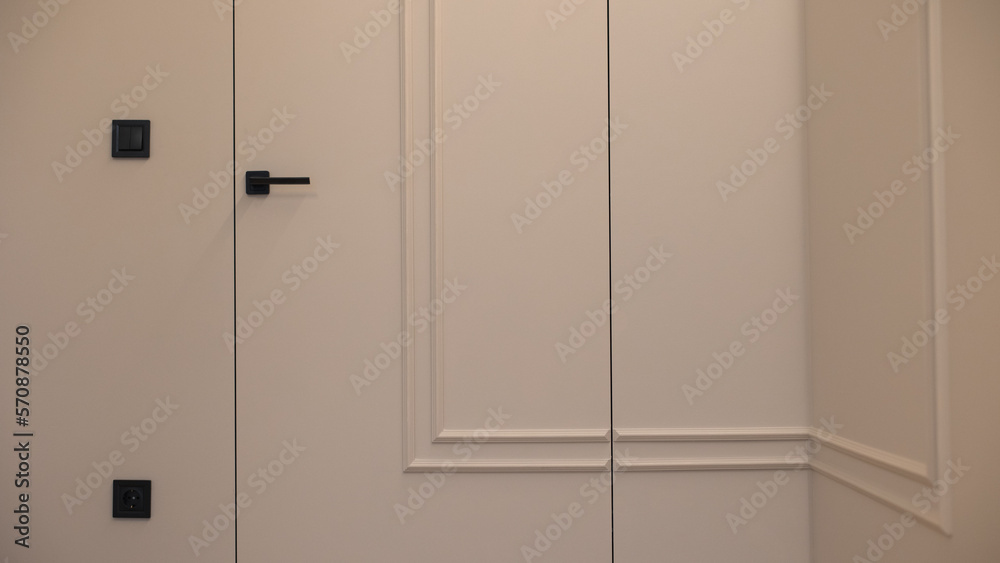 The door is built into the wall in the interior of a modern apartment The door is built into the wall in the interior of a modern apartment