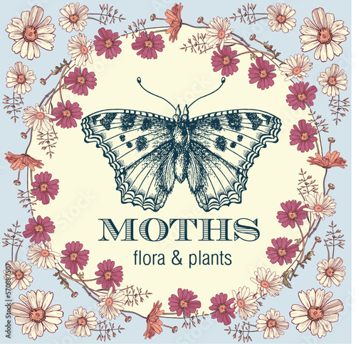 Butterflies chamomile moth insect fly Greeting invitation card wedding Beautiful frame label Set Flowers Poppy Poppies realistic Engraving drawing Freehand wreath. Vector victorian style Illustration
