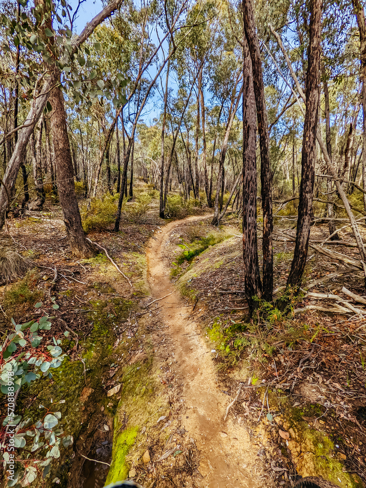 Castlemaine Bike Trails in Australia Castlemaine Bike Trails in Australia