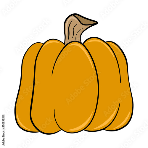Pumpkin, pumpkin vector, png, isolated on a transparent background