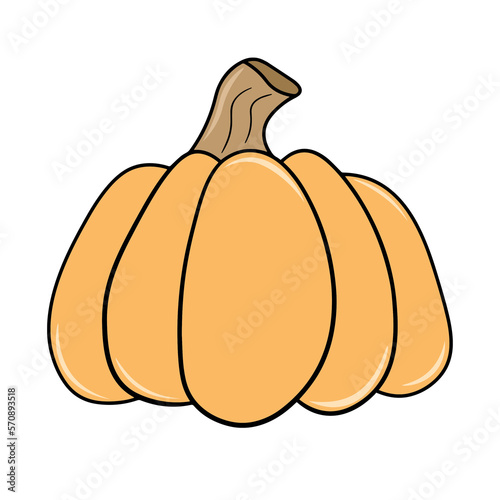 Pumpkin, pumpkin vector, png, isolated on a transparent background