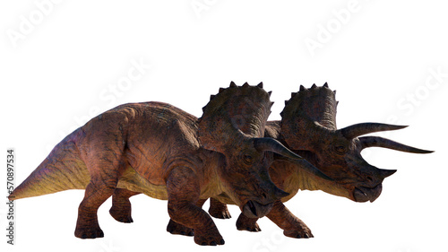 Triceratops Dinosaur on Transparent PNG Background © akiratrang