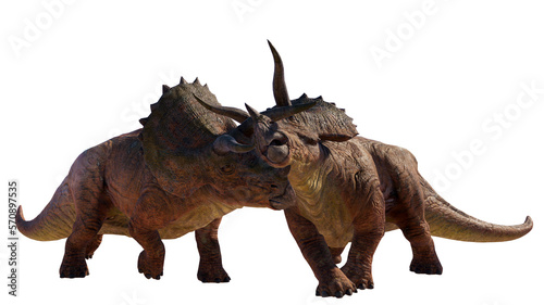 Triceratops Dinosaur on Transparent PNG Background