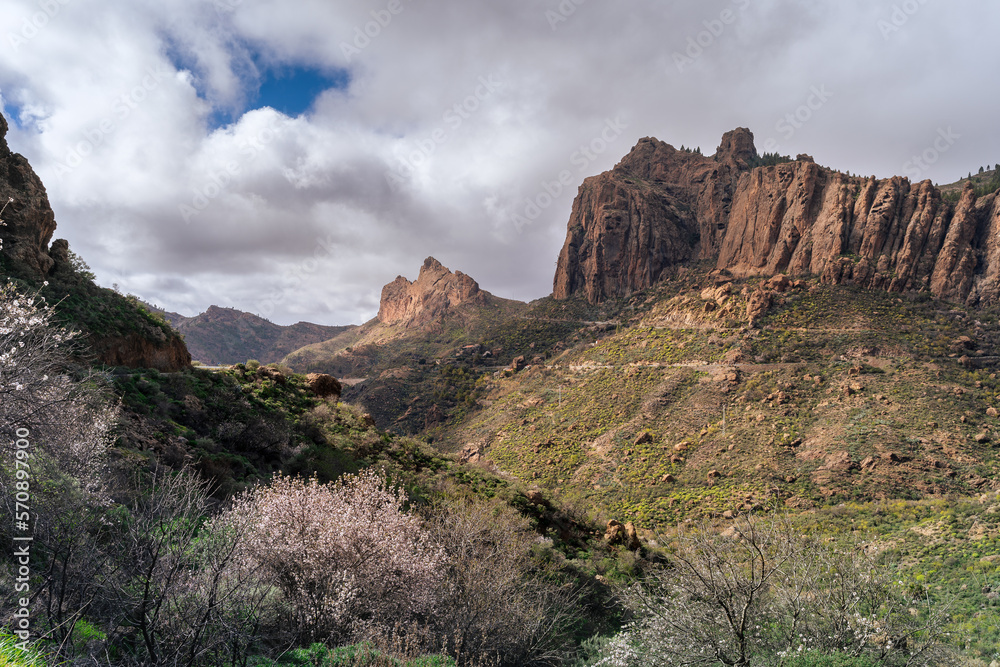 Mountains of Ayacata. Top of Gran Canaria. Canary Islands