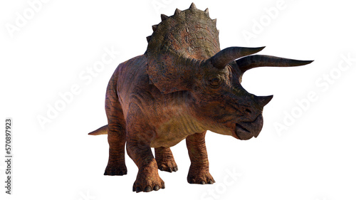Triceratops Dinosaur on Transparent PNG Background © akiratrang