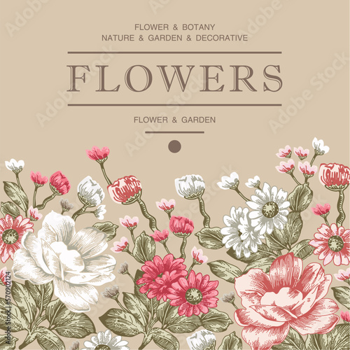 Daisies chamomile Peonies Wedding marriage thanks invitation isolated floral. Beautiful blooming flowers Vintage greeting card Frame Drawing engraving. Wallpaper background. Vector Illustration