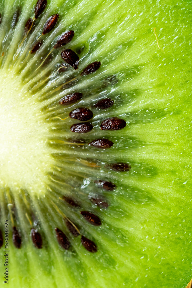 Kiwi sliced.Macro photo of a kiwi with place for text.Macro photo of an exotic fruit on an isolated background.Kiwi advertisement.Beautiful photo of kiwi.Sale of exotic fruits with copywriting space. Kiwi sliced.Macro photo of a kiwi with place for text.Macro photo of an exotic fruit on an isolated background.Kiwi advertisement.Beautiful photo of kiwi.Sale of exotic fruits with copywriting space.