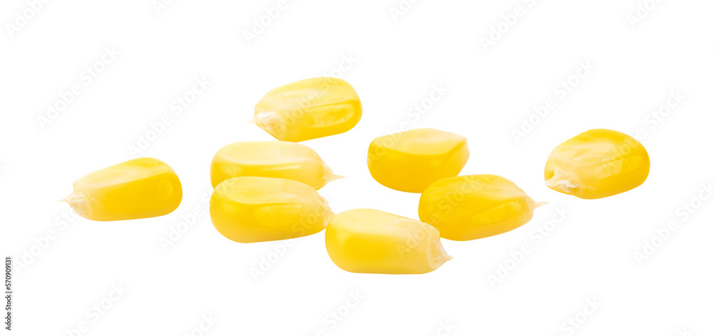 Corn seeds isolated on transparent png