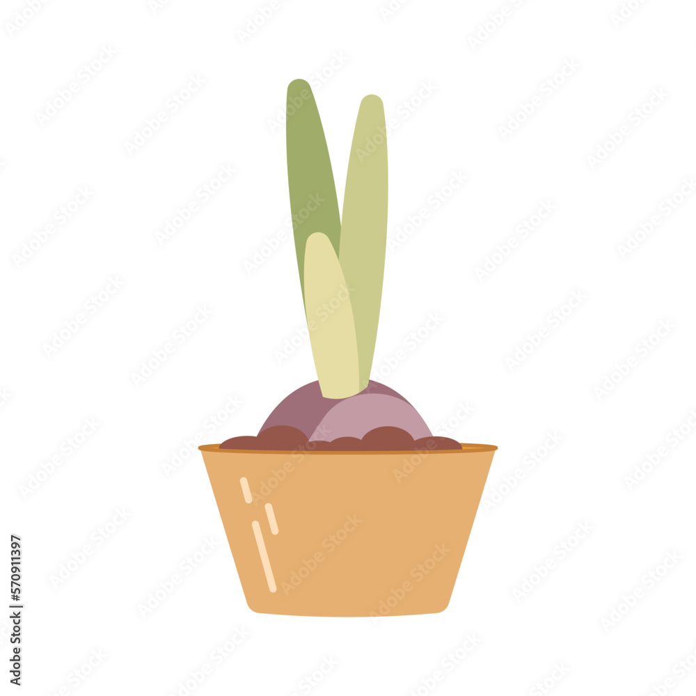carton box with seedlings isolated on white background. Garden equipment, tool. Seasonal garden work. Spring vector llustration.