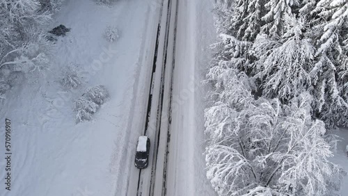 Aerial view from drone on car driving through winter snow-covered forest
