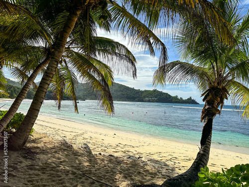 under palm trees on sunny day on tropical beach  Seychelles islands