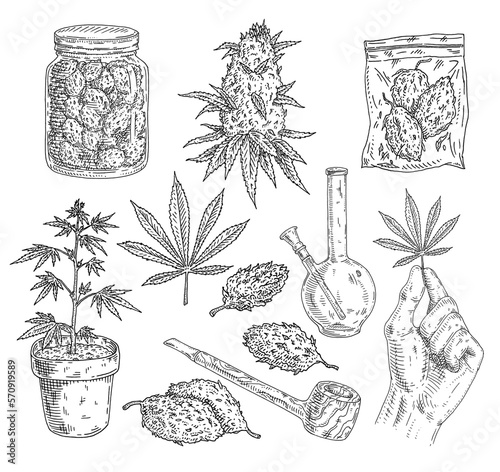 Set Marijuana. Buds, hand hold leaf, plant in pot, pipe, bong, glass jar, plastic bag. Vintage vector engraving