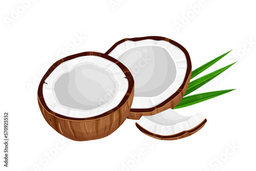 Coconut and leaves isolated on white background. 