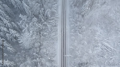 The road in forest after snowstorm. Trees with droopy branches near the road. Plateliai, Lithuania.