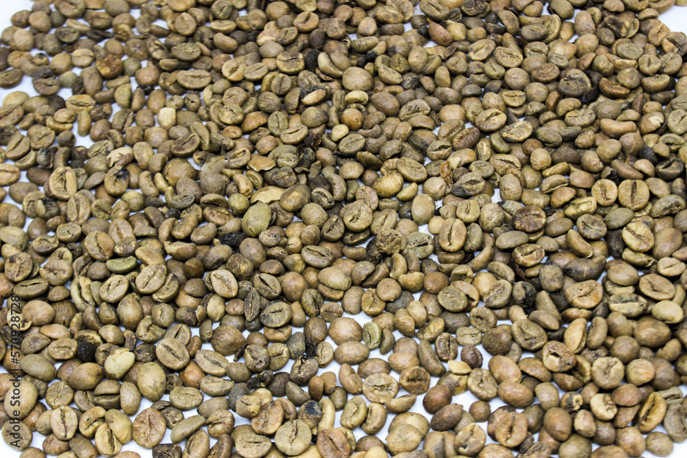 portrait of raw coffee beans