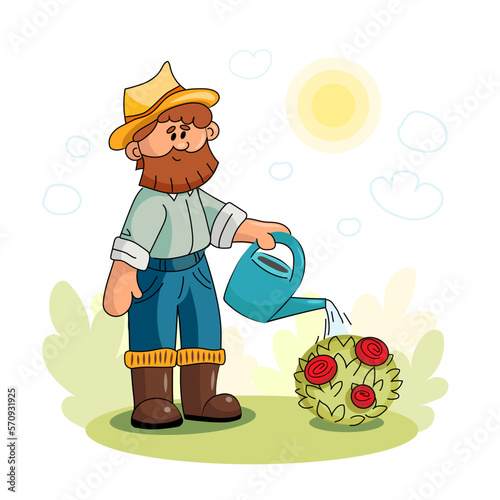 A gardener is watering a rose bush from a watering can. Flower care illustration. The man is working in the garden. Plant care in summer. Care of the gardener for flowering plants. Beautiful roses 