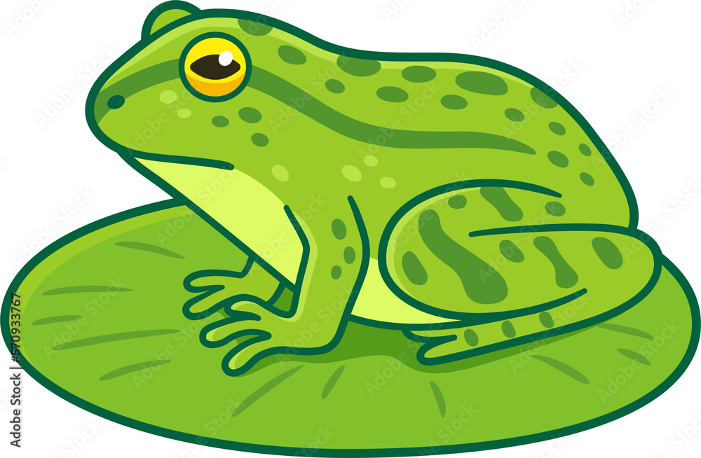Green frog on lily pad drawing Green frog on lily pad drawing