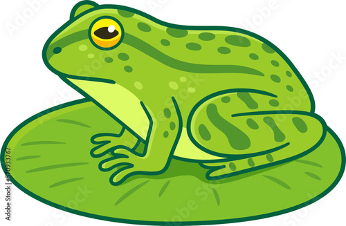 Fotografi Green frog on lily pad drawing