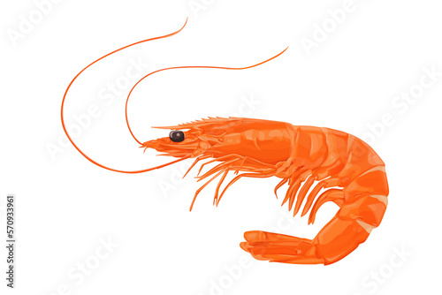 Shrimp icon. Boiled Prawn in shell on a white background. Realistic vector illustration	