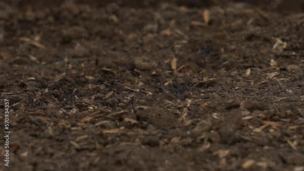 fertile soil watered by rain fertile soil watered by rain