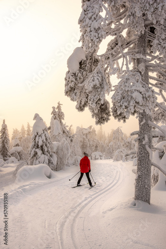 Woman cross country skiing in Lapland Finland