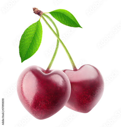 фотографія Two heart shaped sweet cherries on one stem cut out