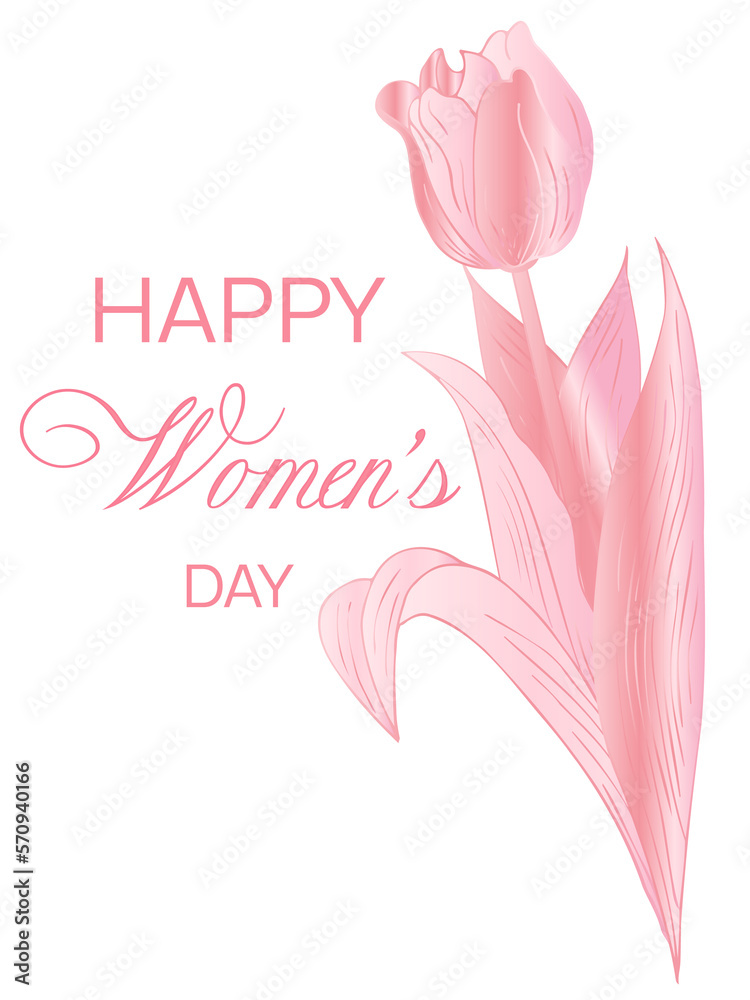 PINK tulip, Happy Women's Day concept. For printing, backgrounds, postcards, invitations, greetings, etc