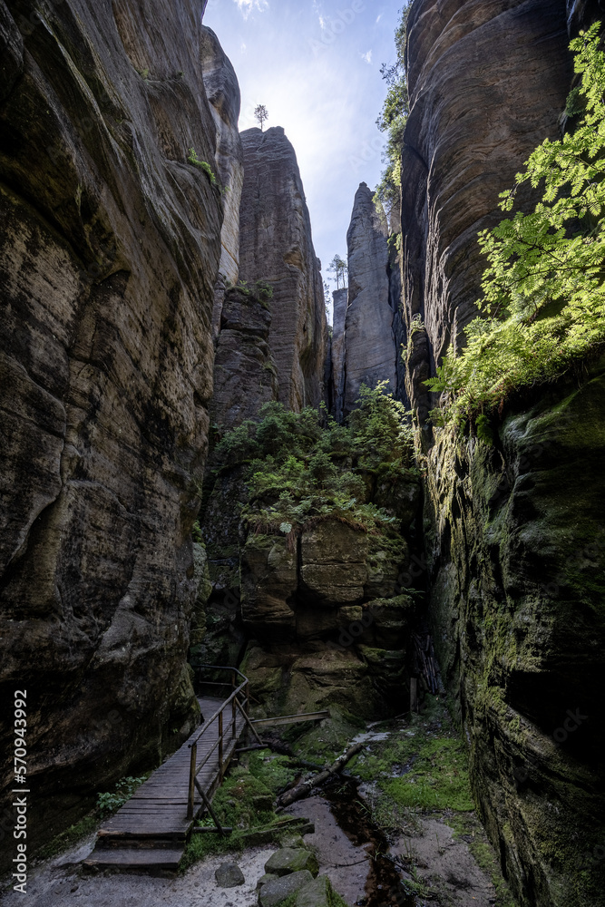 Fototapeta premium Adersbach-Weckelsdorfer Felsenstadt (Teplice/Weckelsdorf)