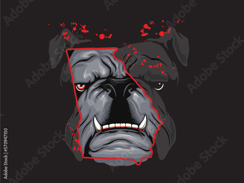 The head of a fierce bulldog