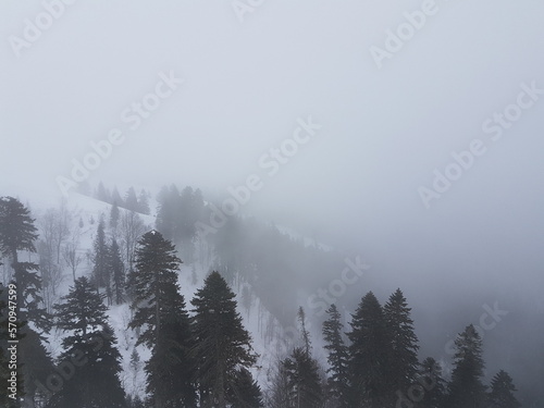Foggy slope in the mountains covered with forest