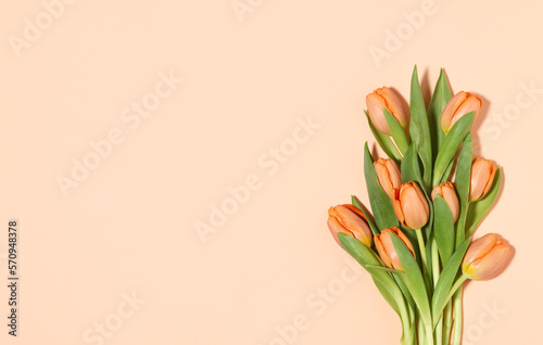 Composition of orange tulips