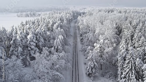 The road in forest after snowstorm. Trees with droopy branches near the road. Plateliai, Lithuania.
