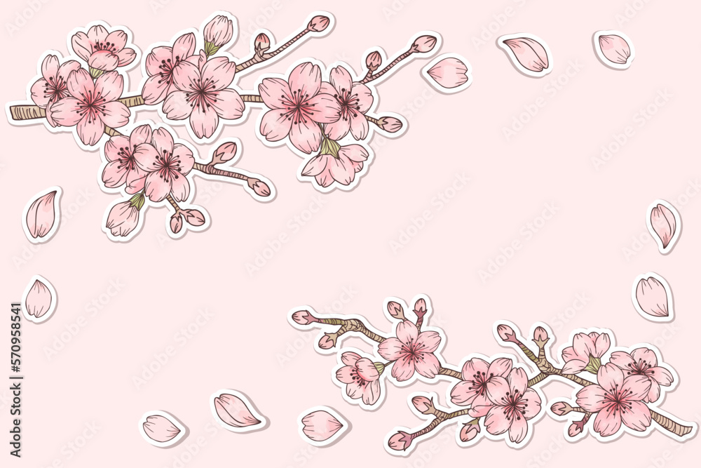 枝に咲いている桜の水彩風パーツイラストセット　白縁シール風　主線あり、ベクター