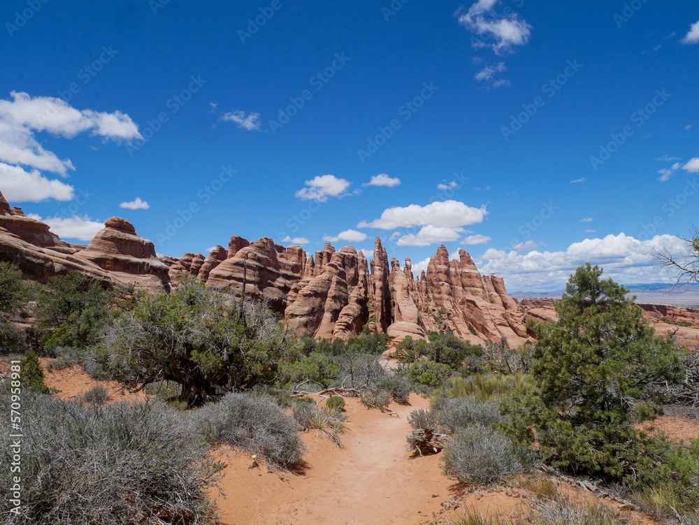 Red rocks at arches national park