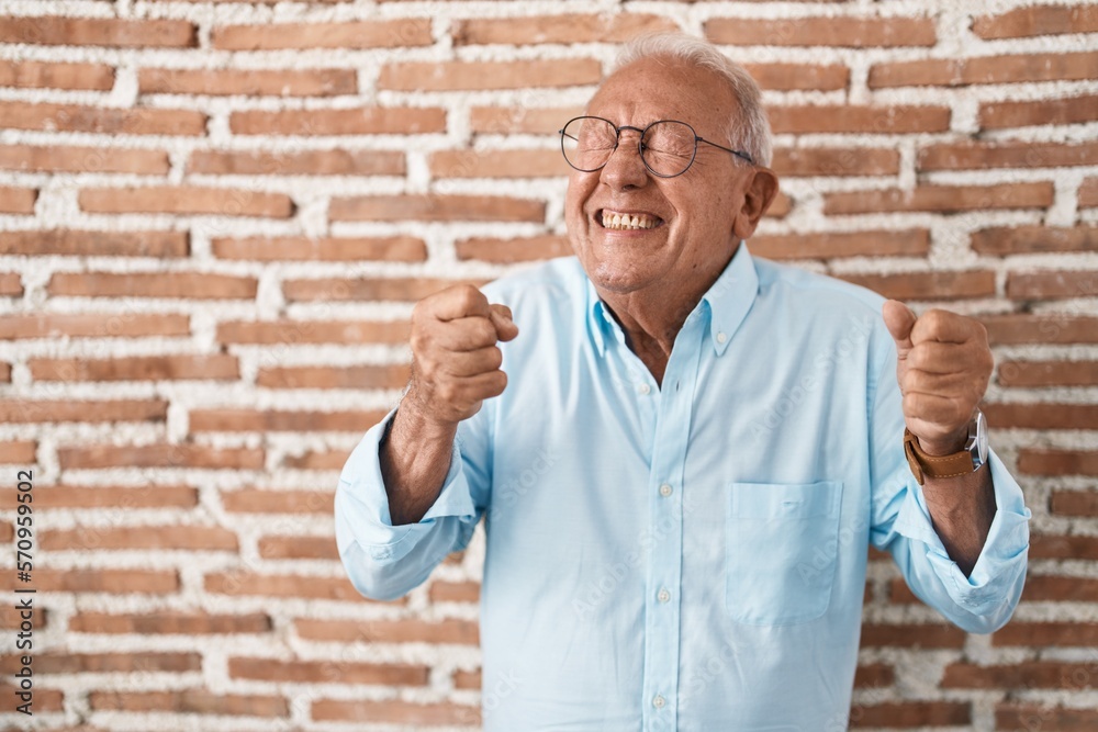 Senior man with grey hair standing over bricks wall excited for success with arms raised and eyes closed celebrating victory smiling. winner concept. Senior man with grey hair standing over bricks wall excited for success with arms raised and eyes closed celebrating victory smiling. winner concept.