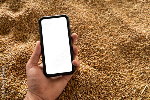 Smartphone in hand on the background of harvested grain